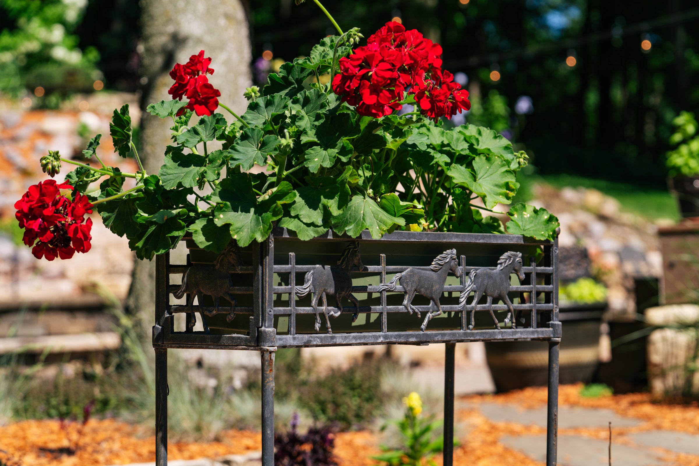 Flower Boxes