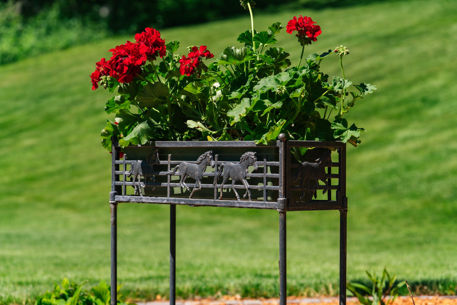 horse plant pot Horse Flower Box Stand
