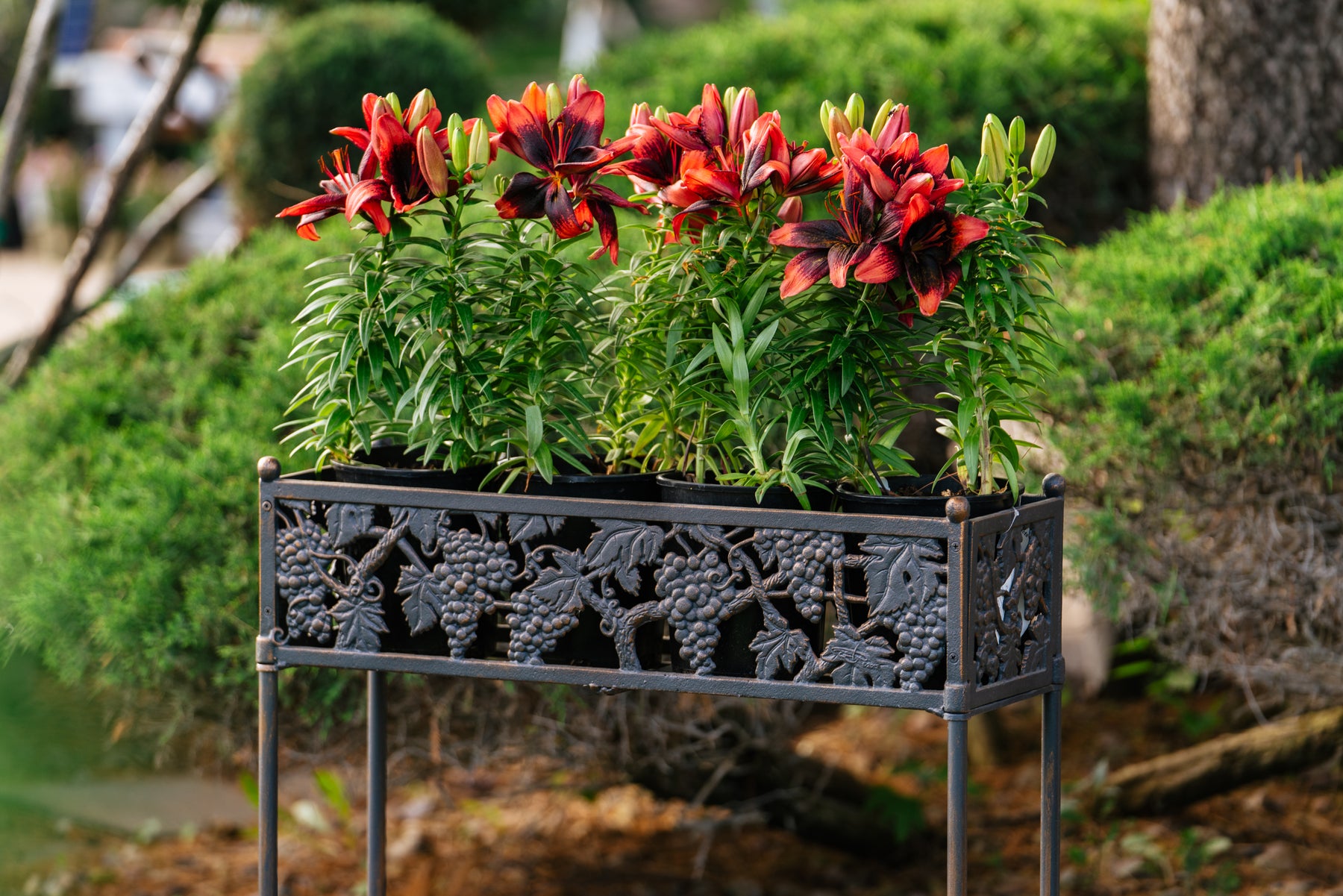 indoor plant box stand Vineyard Flower Box Stand